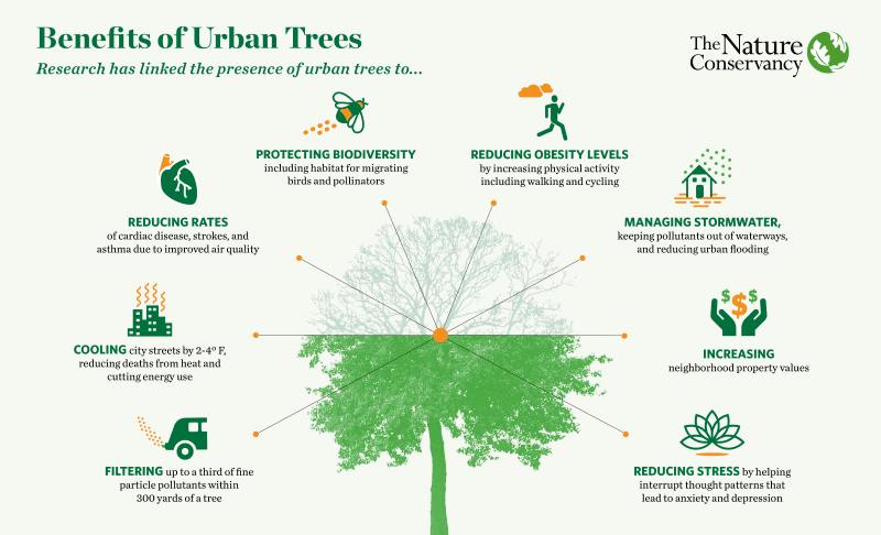PDF) A Árvore no Espaço Urbano