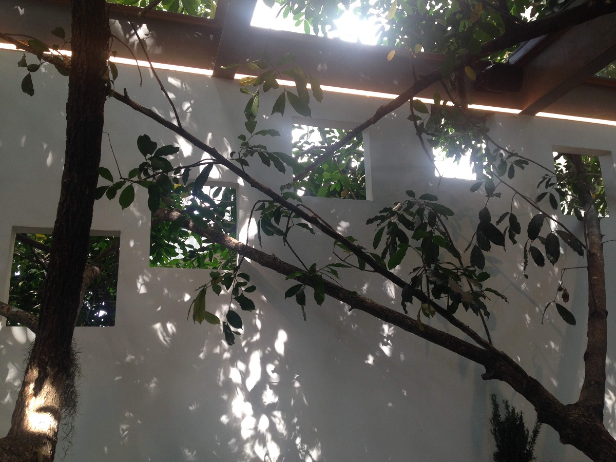 ESPECIAL CASACOR – Jardim contemplativo