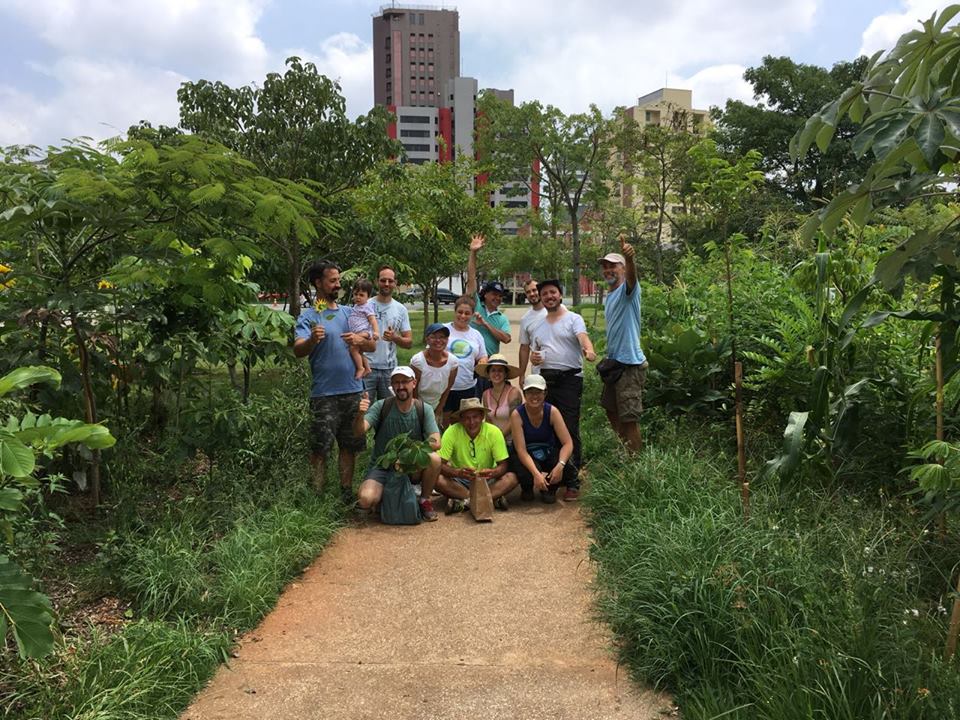 Agricultura Urbana – São Paulo Expo tem horta-escola para moradores de rua